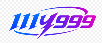111y999